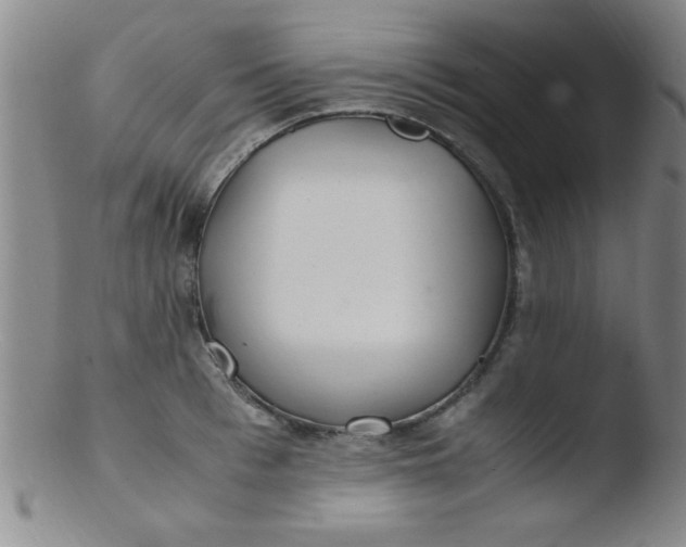 X0000103480993200809261923