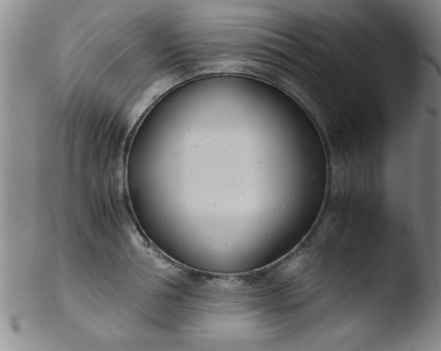 X0000103480994200809261923