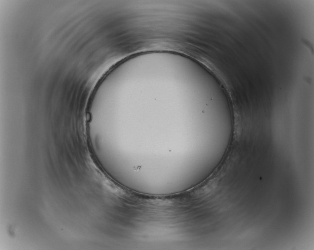 X0000103480996200809261923