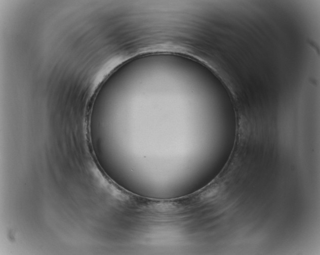 X0000103480998200809261923