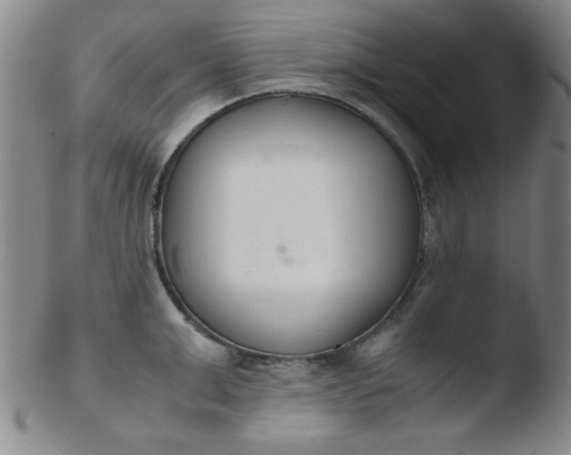 X0000103480999200809261923