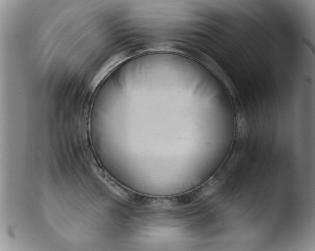 X0000103481002200809261923