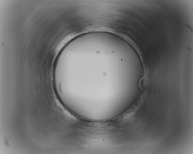 X0000103481005200809261923