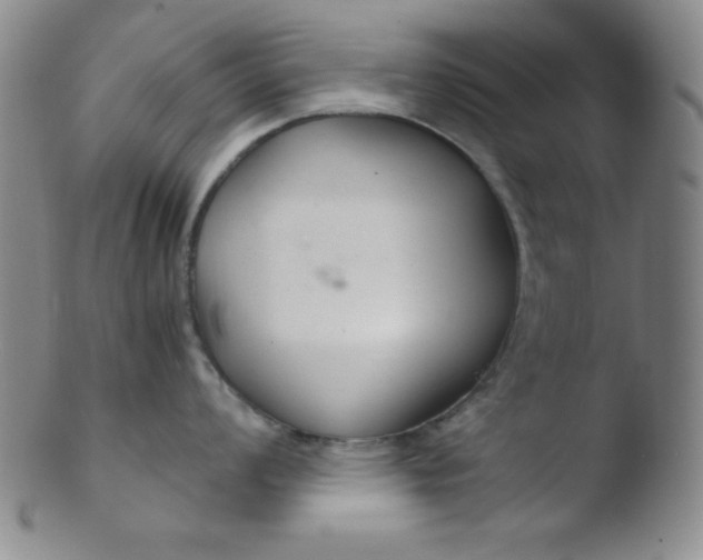 X0000103481008200809261923