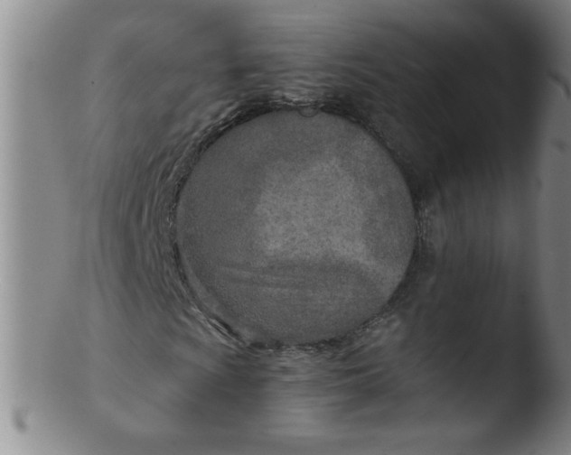 X0000103481009200809261922