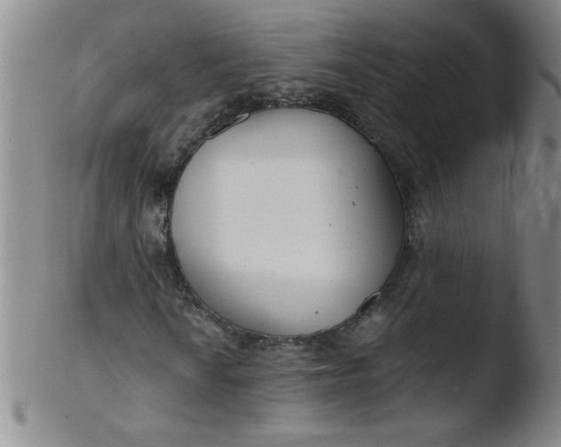 X0000103481010200809261922