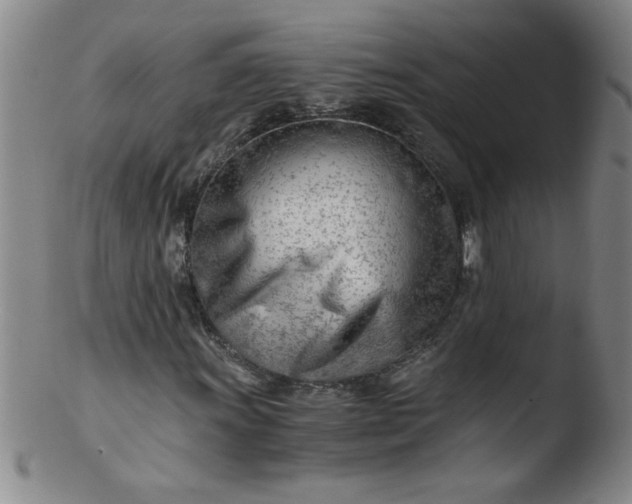 X0000103481011200809261922