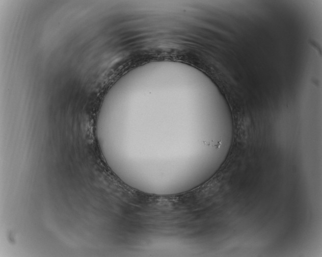 X0000103481013200809261922