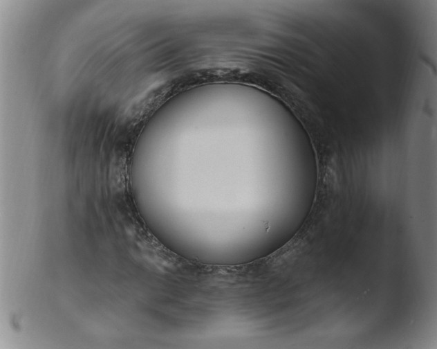 X0000103481014200809261922