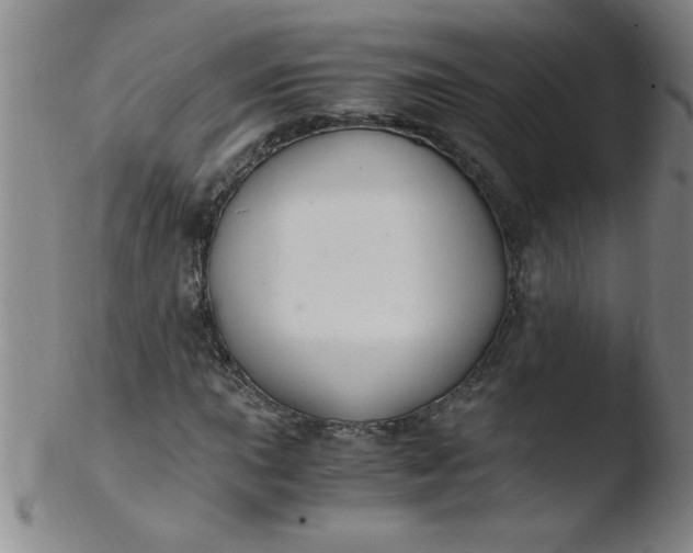X0000103481015200809261922