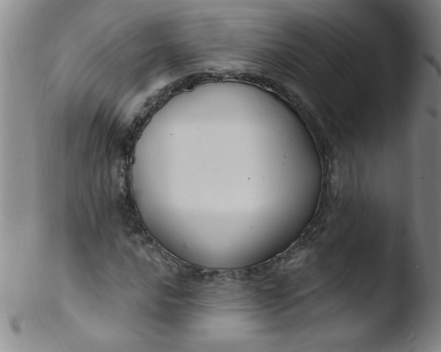 X0000103481016200809261922