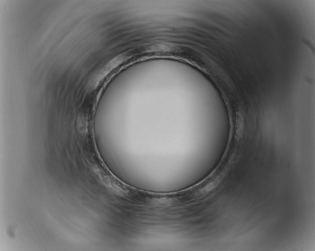 X0000103481017200809261922