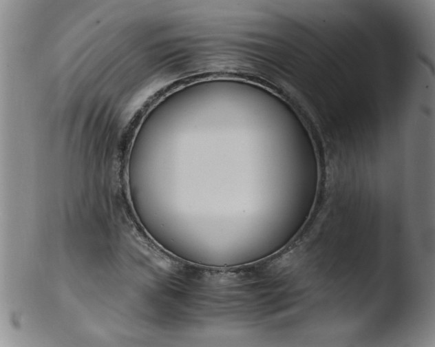 X0000103481019200809261922