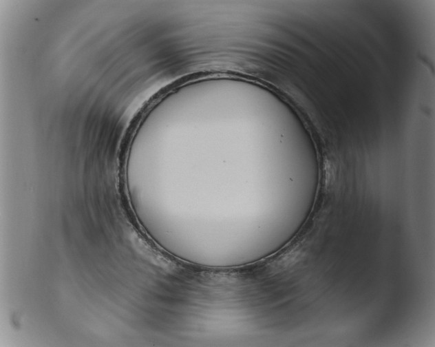 X0000103481020200809261922