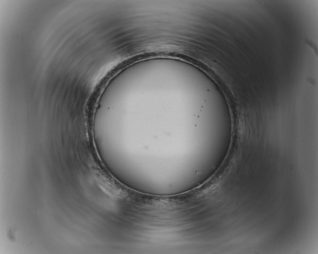 X0000103481022200809261923