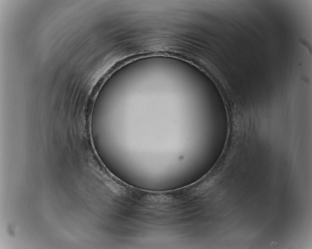 X0000103481023200809261923