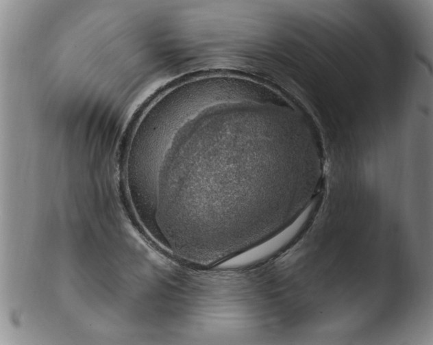 X0000103481024200809261923