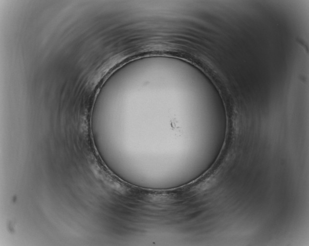 X0000103481025200809261923