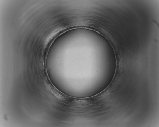 X0000103481027200809261923