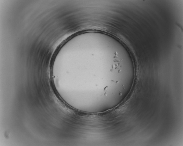 X0000103481028200809261923