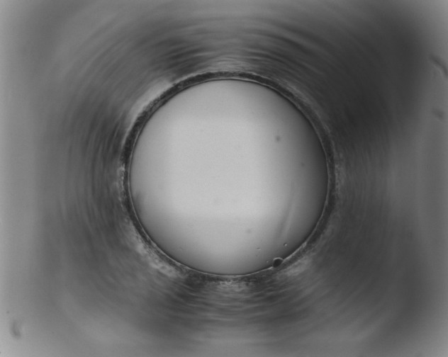 X0000103481029200809261923