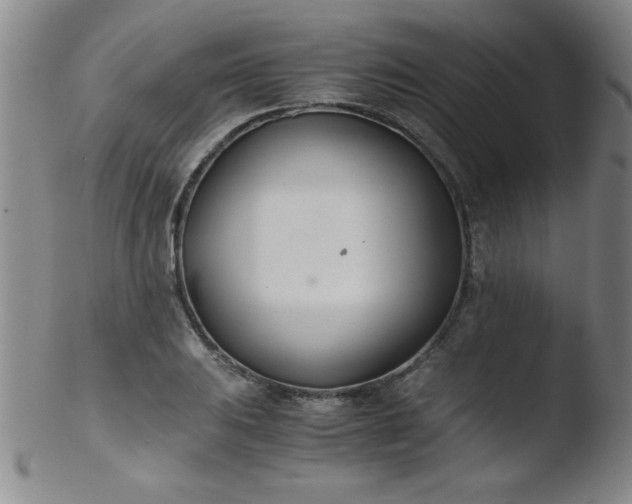X0000103481031200809261923