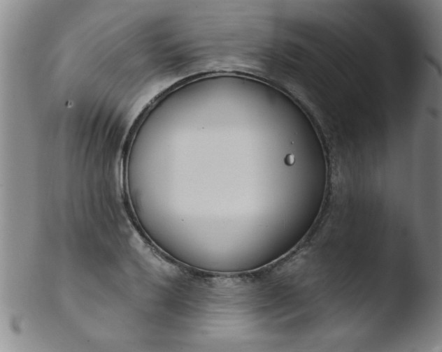 X0000103481032200809261923