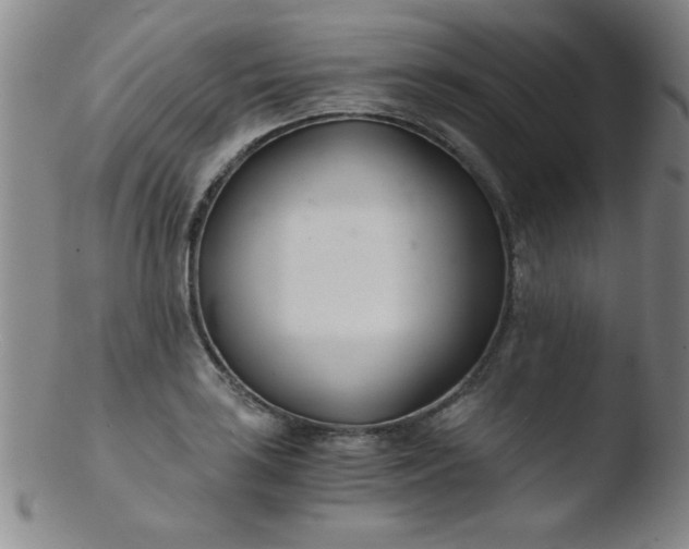 X0000103481035200809261923