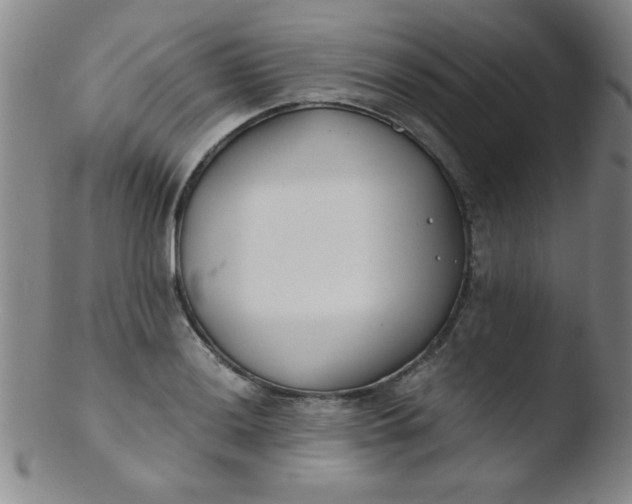 X0000103481036200809261923