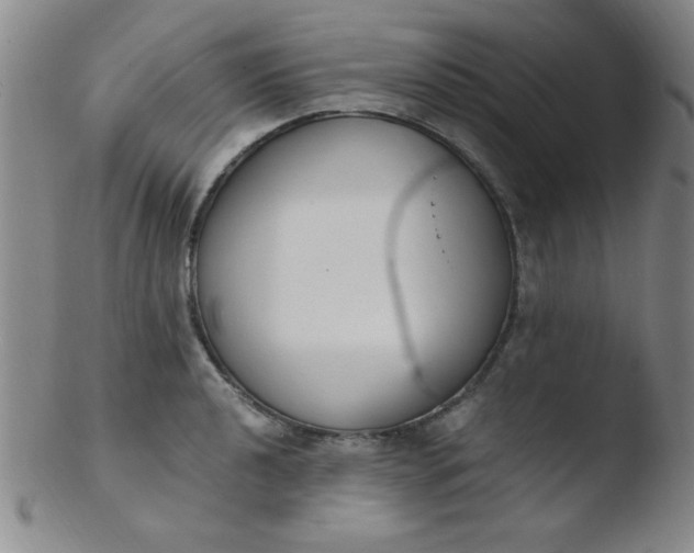 X0000103481040200809261923