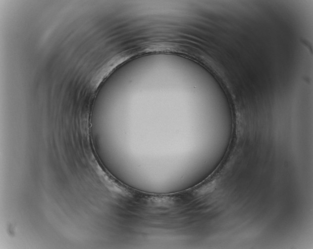X0000103481041200809261923