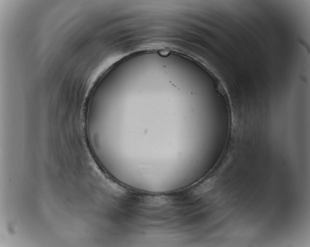 X0000103481045200809261923