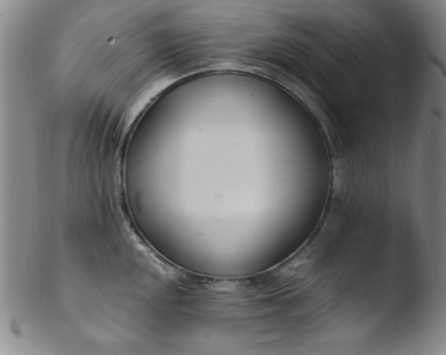 X0000103481048200809261923
