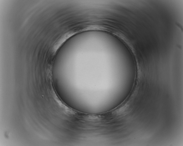 X0000103481049200809261923