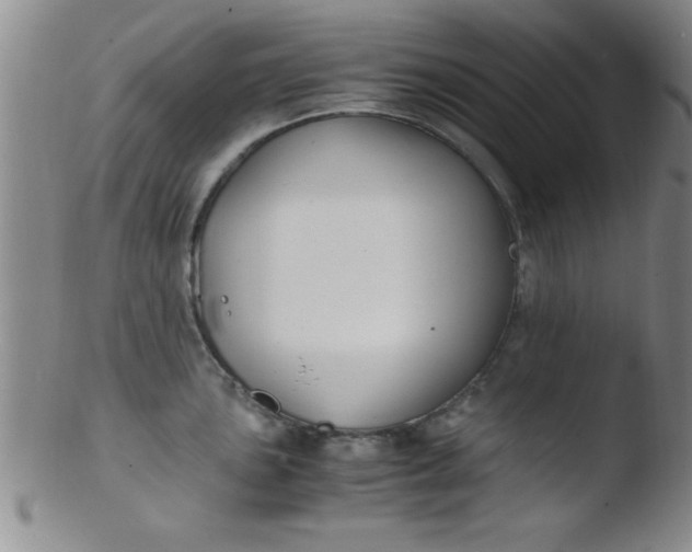X0000103481051200809261923