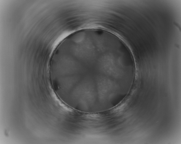 X0000103481053200809261923