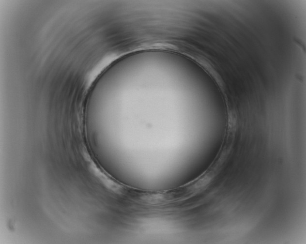 X0000103481054200809261923