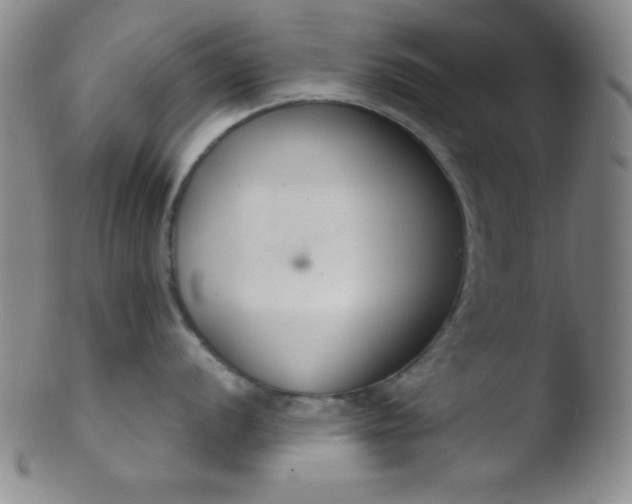 X0000103481056200809261923