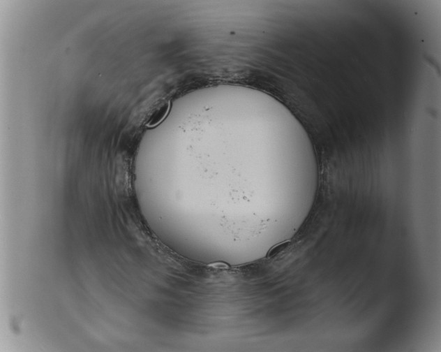X0000103481058200809261922