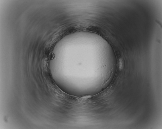 X0000103481059200809261922