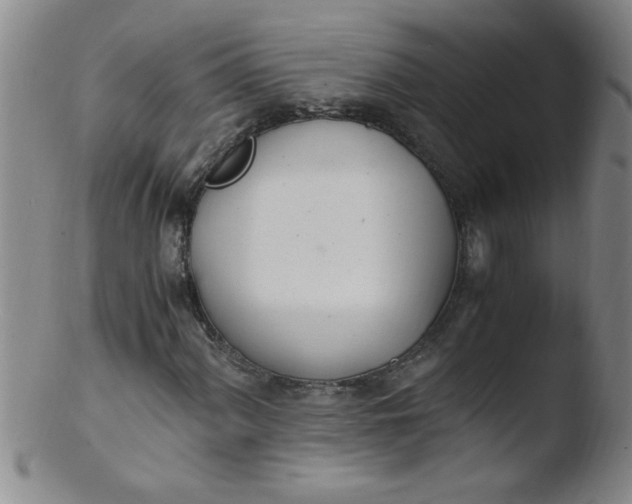 X0000103481060200809261922