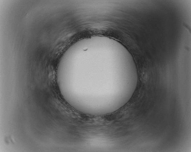 X0000103481061200809261922