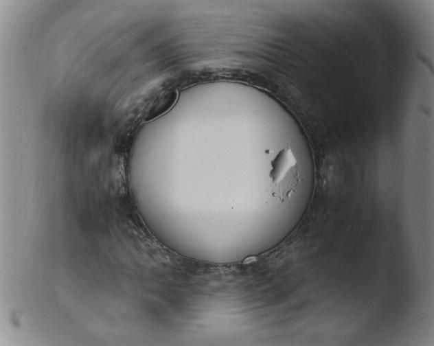 X0000103481062200809261922