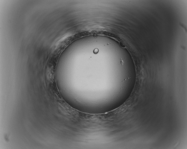 X0000103481063200809261922