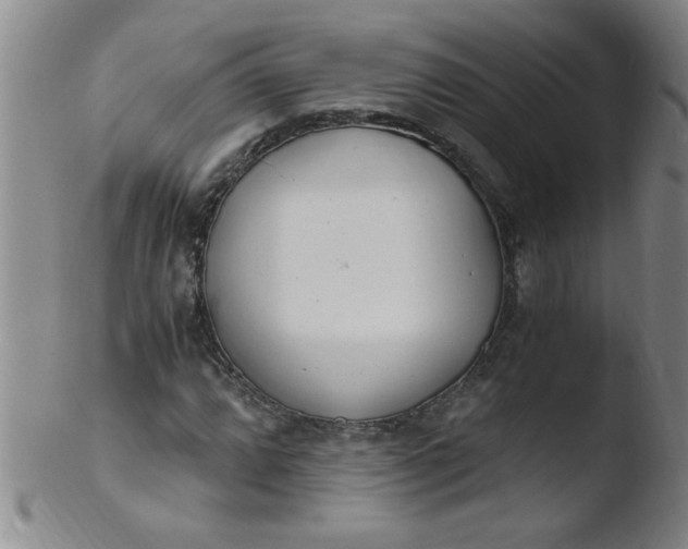 X0000103481064200809261922