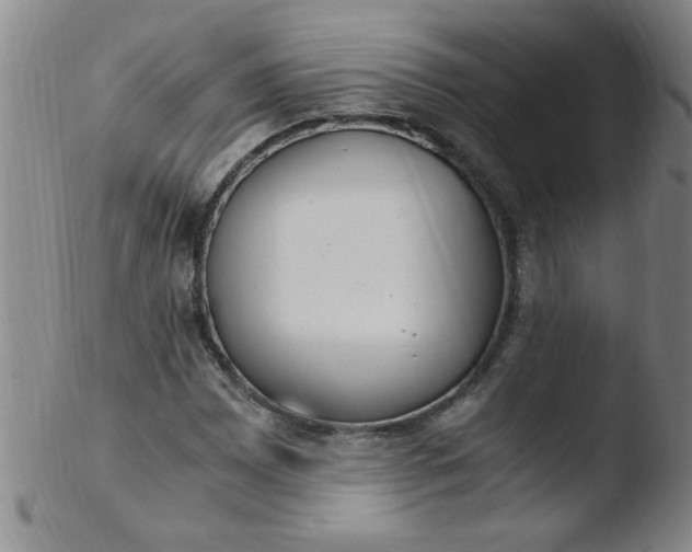 X0000103481065200809261922