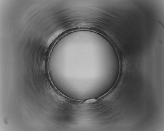 X0000103481066200809261922