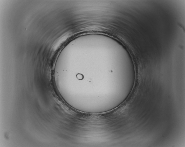 X0000103481067200809261922