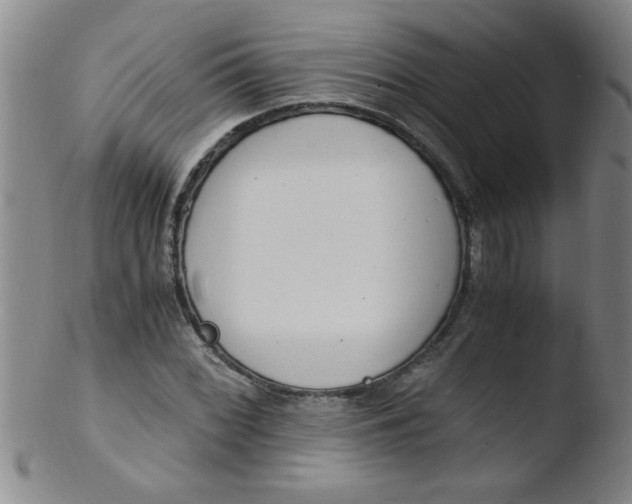 X0000103481068200809261922