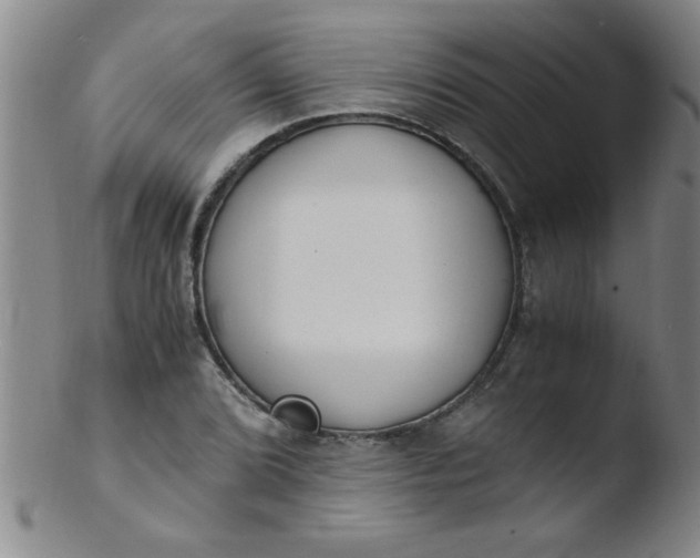 X0000103481072200809261922